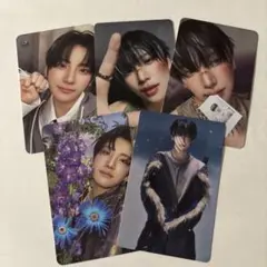 &TEAM BTL Back to Life トレカ ユウマ