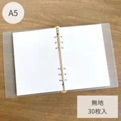 Item thumbnail for item 428133e0-506e-4581-b081-77a763c99eeb