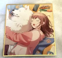 プロセカ ミニ色紙 45弾A みのり