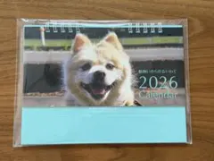 Item thumbnail for item b6acb91d-c480-4bd1-9e5b-2bcd901d0270