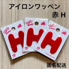 わくわくワード H 3枚セット
