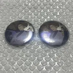 USJ コレクタブル缶バッジ 妃英理