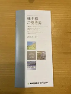 東急不動産ホールディングス　株主優待　1000株以上