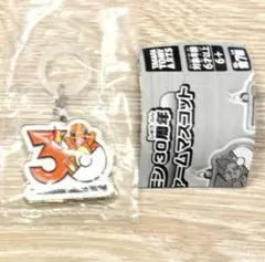 ポケモン30周年 メタルチャームマスコット