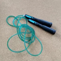 Item thumbnail for item 19f09789-806f-412b-a8e1-dbab8cb7d5c8