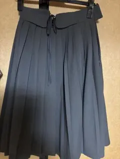 フィントプリーツスカート