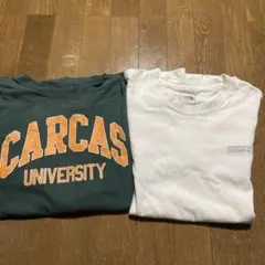 ノースフェイスのロンＴとCARCAS UNIVERSITY 緑色のロンＴ