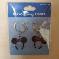 東京ディズニーリゾート キーホルダー 2個セット ミッキー ミニー