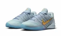 Nike サブリナ3 Blueprint EP MENS26.5cm