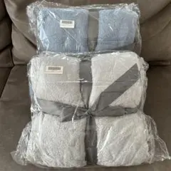 極暖×極上　プレミアム超BIG毛布　ライトブルー　ライトグレー　2点