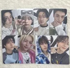 Stray Kids celebrate fansリアルタッチ　8枚 コンプ