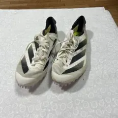 Item thumbnail for item 98115bc5-c53e-44e0-bb73-56de4d57edd4