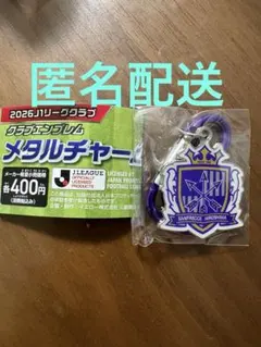 サンフレッチェ広島 クラブエンブレム メタルチャーム