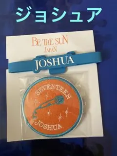 seventeen ジョシュア　デコリング　ペンライトアクセサリー