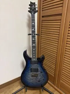 PRS SE Custom 24 2009年製 エメラルド系 - メルカリ