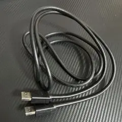 DisplayPortケーブル 黒