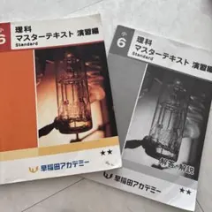 2026年最新】早稲田アカデミー 小6 理科 マスターテキストの人気