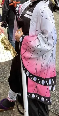 胡蝶しのぶ コスプレセット 鬼滅の刃コスプレ Mサイズ