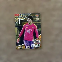 Item thumbnail for item 05e18dfa-0b22-4d24-8dce-a0a35dcac84f