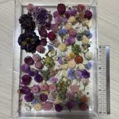 ドライフラワー セット