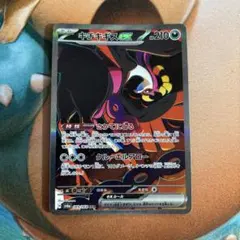 キチキギスex SAR トドロクツキex SAR セット - メルカリ