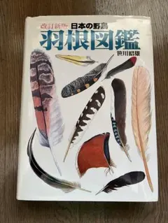 2026年最新】日本の野鳥 羽根図鑑の人気アイテム - メルカリ