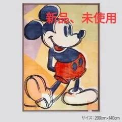 未使用品　ユニクロ　ディズニーヒートテック毛布　ネイビー　シングル　２個セット ユニクロ公式 | ピーナッツ ホリデー ヒートテック毛布（シングル）