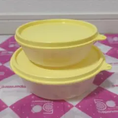 2026年最新】ハンディボール タッパーウェアの人気アイテム - メルカリ