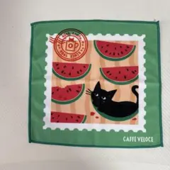 CAFFE VELOCE 黒ねこ　サマーキャンペーン　第２弾