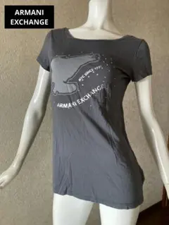 Armani Exchange グレー Tシャツ S　ピチT　ロゴのサムネイル