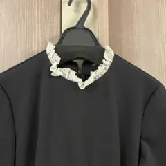 Item thumbnail for item 49791ce0-3894-44c8-a87a-ddbfa68f3d97