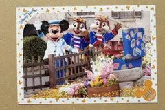 スプリングヴォヤッジ　スペシャルフォト　ディズニー　写真　チップ　デール