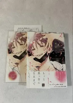 初版・特典ペーパー付】メルティホワイトアウト 鯛野ニッケ【匿名配送