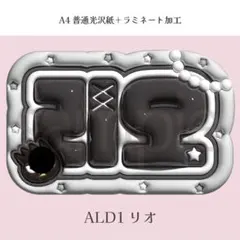 ALD1 リオ ぷっくり ネームボード オーダー 韓国 文字パネルのサムネイル