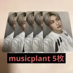 TWS ジフン musicplant トレカ セット