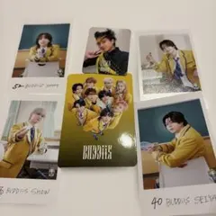 BUDDiiS SEIYA トレカ 岡本聖哉 ミニフォト - メルカリ