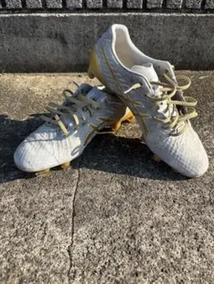 2025年最新】dsライトアクロス2の人気アイテム - メルカリ