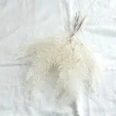 えみり★様 リクエスト 3点 まとめ商品