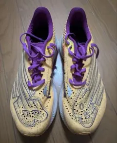 ニューバランス FuelCell RC ELITE 24.5cm