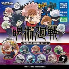 ぴた！でふぉめ 呪術廻戦 缶バッジ 虎杖悠仁 禪院真希 2個セット