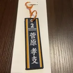 ハイキュー!! タイトー 쿠지 菅原孝支 フライトタグ