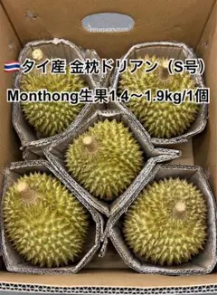 送料無料 タイ産 ドリアン 1.4~1.9kg S号 1玉 金枕 生ドリアン - メルカリ