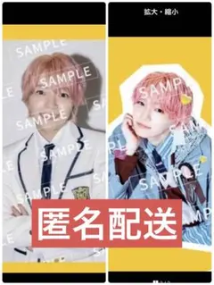 なにわ男子　西畑大吾　HARD WORK トレカ　フレークシール