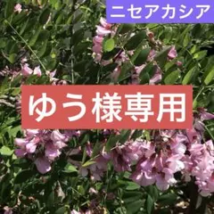 ゆう様 リクエスト 2点 まとめ商品