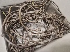 まるこぱん様 リクエスト 2点 まとめ商品