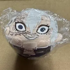 鬼滅の刃 もちころクッション 不死川実弥 中古】クッション・本体 不死川実弥 ダイカットクッション 「鬼