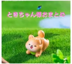 ときちゃん様おまとめ