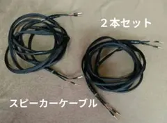 Western Electric 14GA スピーカーケーブル 3m×4本 - メルカリ