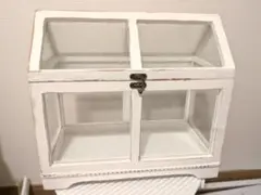 サリュ!