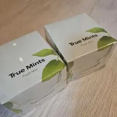 True Mints Fresh Mint 18個×２箱